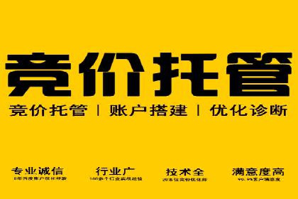 百度SEO推广案例：实战解析与效果展示